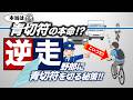 逆走にも青切符だ！自転車が絶対に右側通行をしてはならない理由