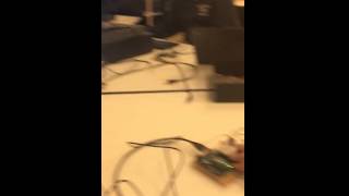 IMG 1447 MOV 1