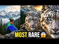 बर्फानी तेंदुआ और इसके 7 खतरनाक साथी | हिमालय की सच