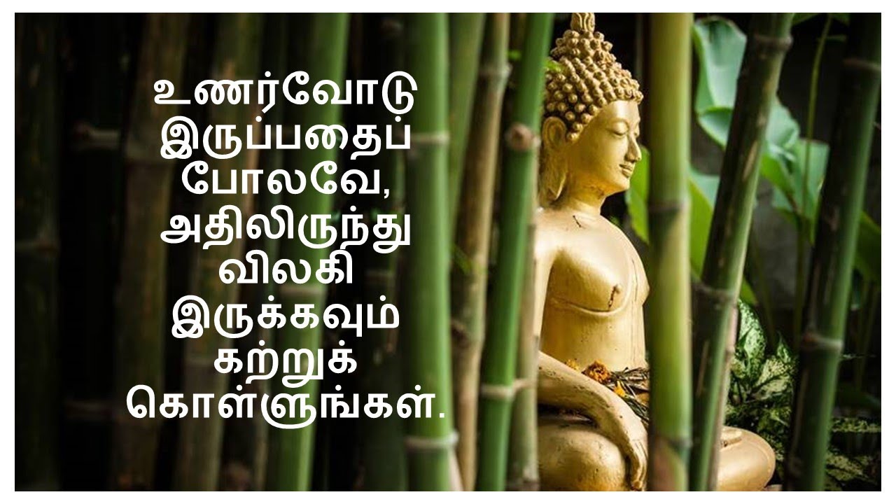 buddha quotes in tamil language
