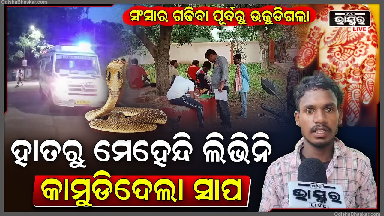 ବିବାହକୁ ମାତ୍ର ଦେଢ ମାସ । ସଂସାର ଗଢିବା ପୂର୍ବରୁ ଚାଲିଗଲେ ସ୍ତ୍ରୀ । ଶୋଇଥିବା ବେଳେ କାମୁଡିଦେଲା ସାପ । ଆଉ ତା ପରେ