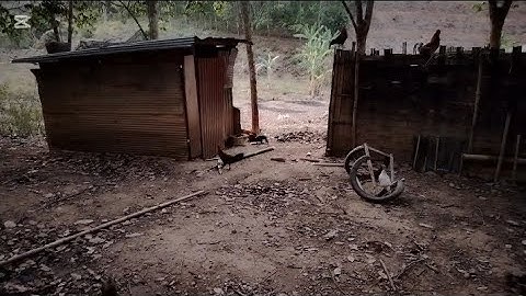 Nruag lau qaib​ dib​ 2025