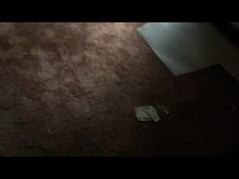 Mississippi residents return home to flood damage