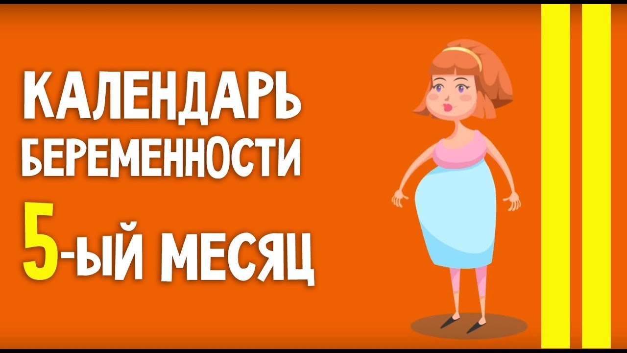 Осаго на 5 месяцев