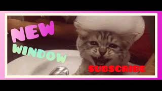 Girl Before A Mirror-top music  2021 #Music_Store screenshot 3