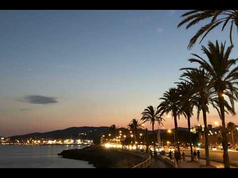 The B-52s - Love Shack (Morgan Seatree Edit)