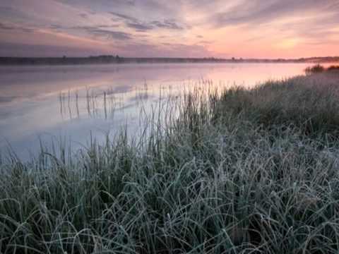 Iio At The End Sat Lee Howler Remix