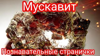 МУСКАВИТ❤️ Московская звезда🪵⭐ Познавательные странички о натуральных камнях