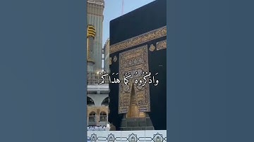 تلاوة خاشعة من القرآن الكريم فضيلة الشيخ د.هاشم ابو دلال✨