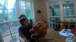Player Profile C 10 Gage Issues JUNK