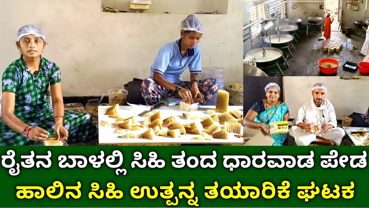 ರೈತನ ಬಾಳಲ್ಲಿ ಸಿಹಿ ತಂದ ಧಾರವಾಡ ಪೇಡ | ಹಾಲಿನ ಸಿಹಿ ಉತ್ಪನ್ನ ತಯಾರಿಕೆ ಘಟಕ | dharwad peda making | milk cake