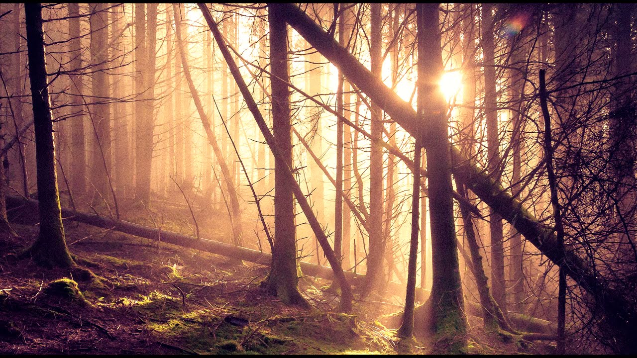 Fly O Tech - Spacetacula [HQ]