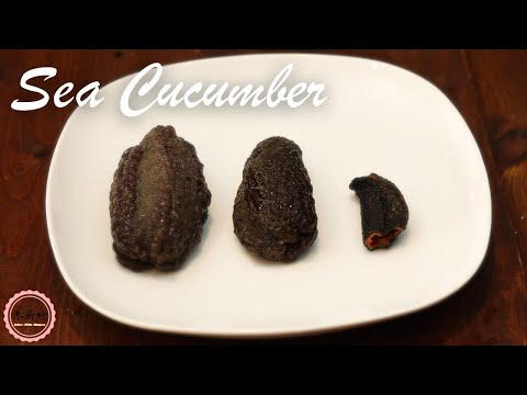 How to Prepare Sea Cucumber for Cooking | 学会泡发海参的几个技巧，随时可以做大菜