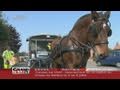 Ref:-ebVyAzcmOE Les chevaux de traits: nouveaux camions poubelle  