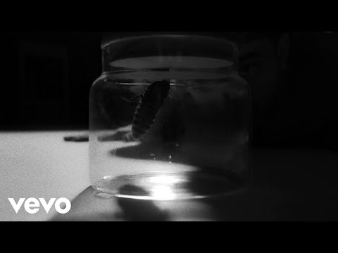 Music Video Preview