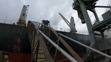 01dec2021 (doing draft survey)