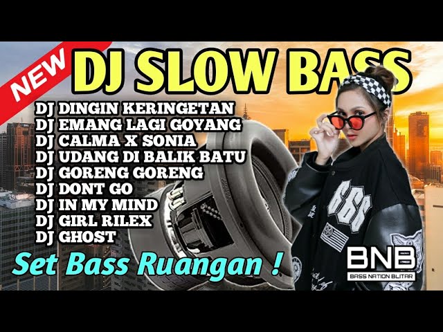 DJ SLOW FULL BASS DJ DINGIN DINGIN KERINGETAN EMANG LAGI GOYANG FULL ALBUM TERBARU BASS JERNIH