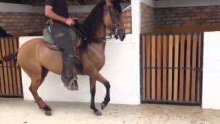 Criadero La Marqueza - Nd Videos