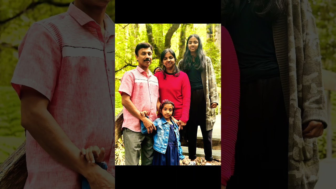 Mt Donna Boung rainforest gallery part 2 