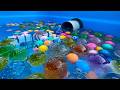 Water Marble Run Race ☆ 15 Fun and Satisfying Marble Runs!