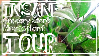INSANE Houseplant Shopping Tour & Haul At My Grocery Store?! Big Box Store Plant Shopping!