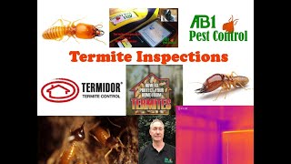 Finding Termite Damage