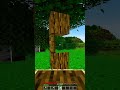 Minecraft Hack Trick