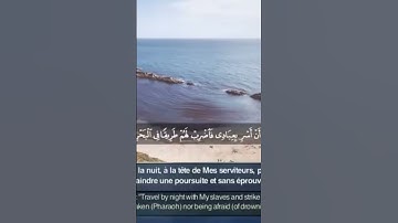 سورة طه وأضل فرعون قومه وما هدى
