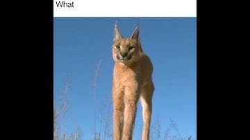 Casting end of everything be like