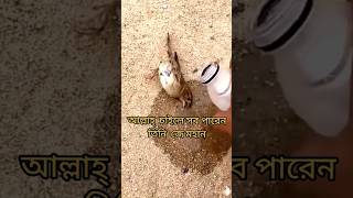 আল্লাহ চাইলে সবই পারেন#আল্লাহ#viral#bangladesh