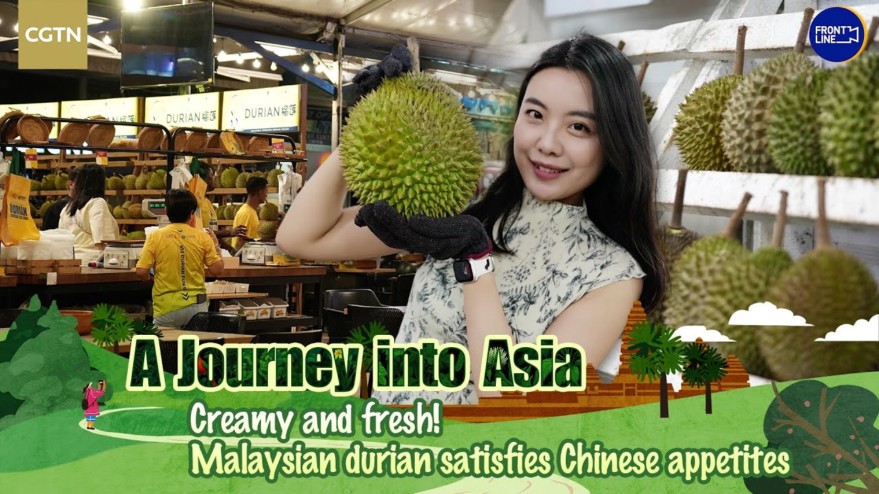 Creamy and fresh! Malaysian durian satisfies Chinese appetites