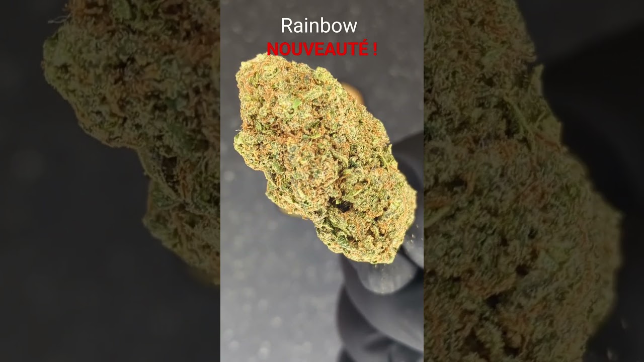 #RAINBOW