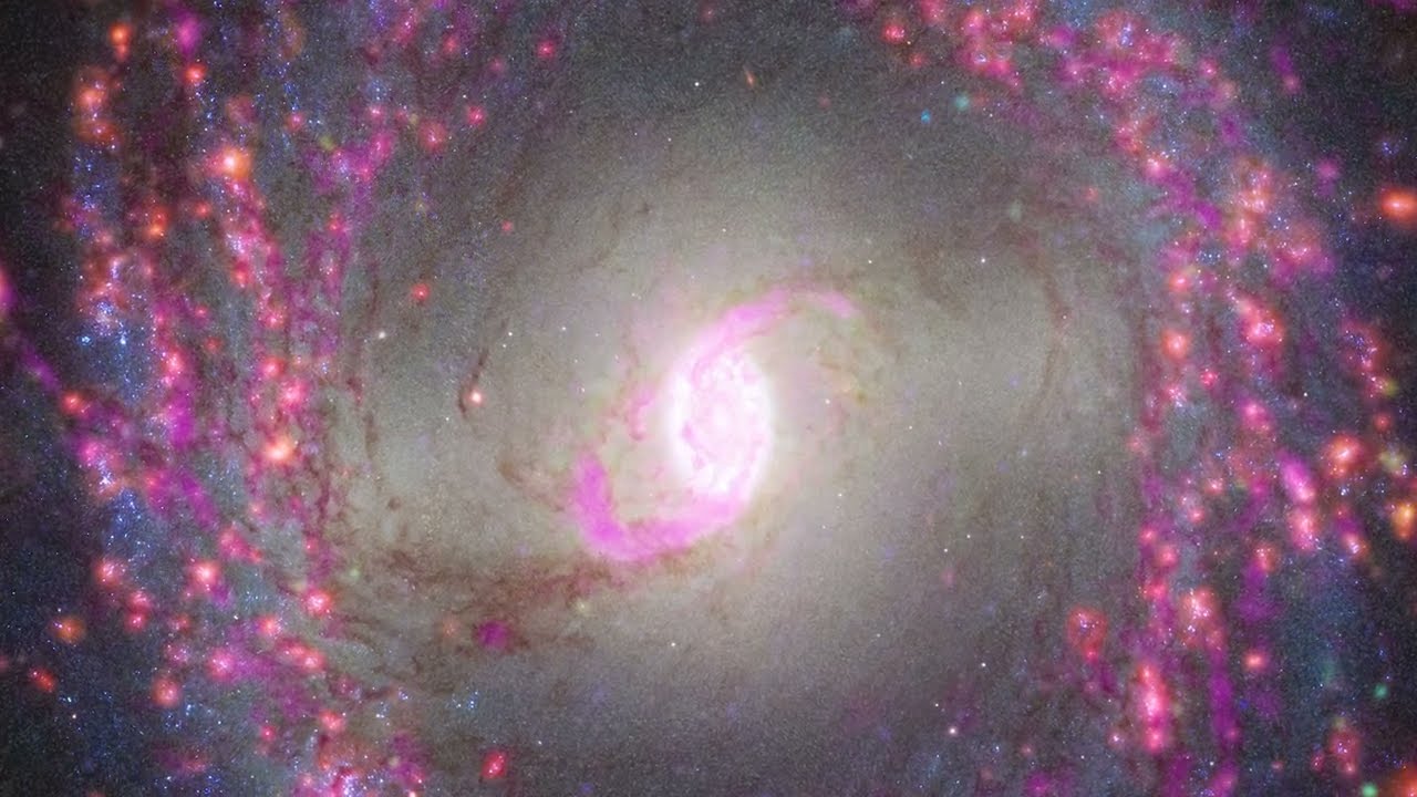 Pale Blue Dot for solo horn and fixed media (2022) by Gina Gillie