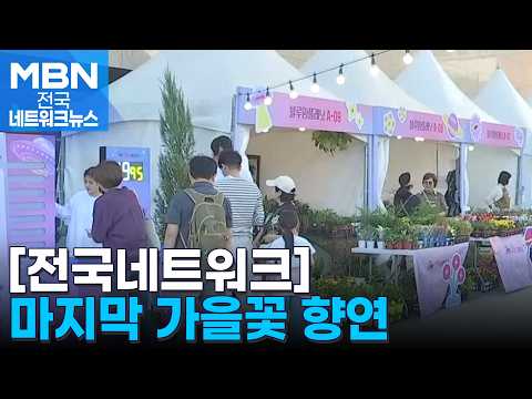 Full of Autumn Vibes… 'Goyang Flower Fragrance Festa' Begins [National Network]