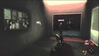 Black Ops: Five: All working glitches + Tutorials