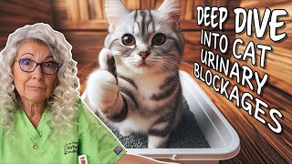 The Root Cause of Urinary Blockages in Cats by Dr. Judy Morgan’s Naturally Healthy Pets 1,445 views 1 month ago 56 minutes