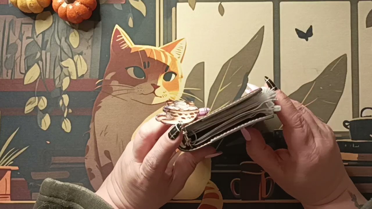 🪴 Bilan semaine 4 + bilan du mois de novembre 🪴