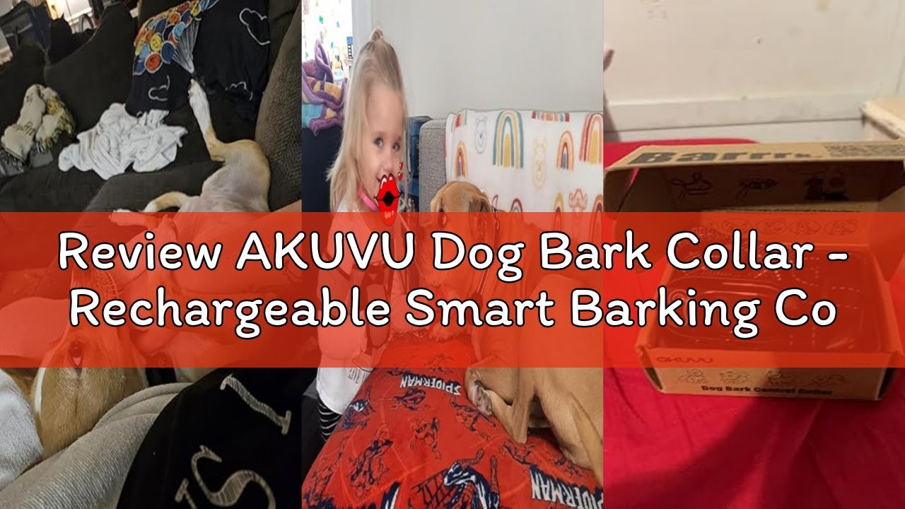 Review AKUVU Dog Bark Collar - Rechargeable Smart Barking Collar, Anti Bark Training Collar with Adj
