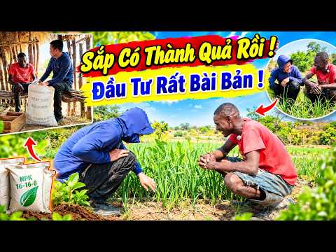 Cong Giap ||