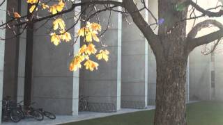 我们 2011滑铁卢UWCSSA春节晚会