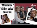 Mamamoo Killing Voice Dingo Music - Jamaican Reaction - First Time!