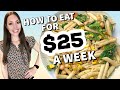 HOW TO EAT FOR $25 A WEEK Extreme Budget Grocery Haul & Meal Plan | Feeding A Family For $25 A Week