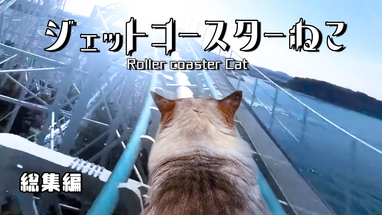 ジェットコースターねこ 総集編 - すべり台ネコ F1猫など