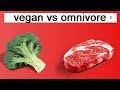 Vegan vs. Omnivore: The Debate (Breakdown of Kahn & Kresser)