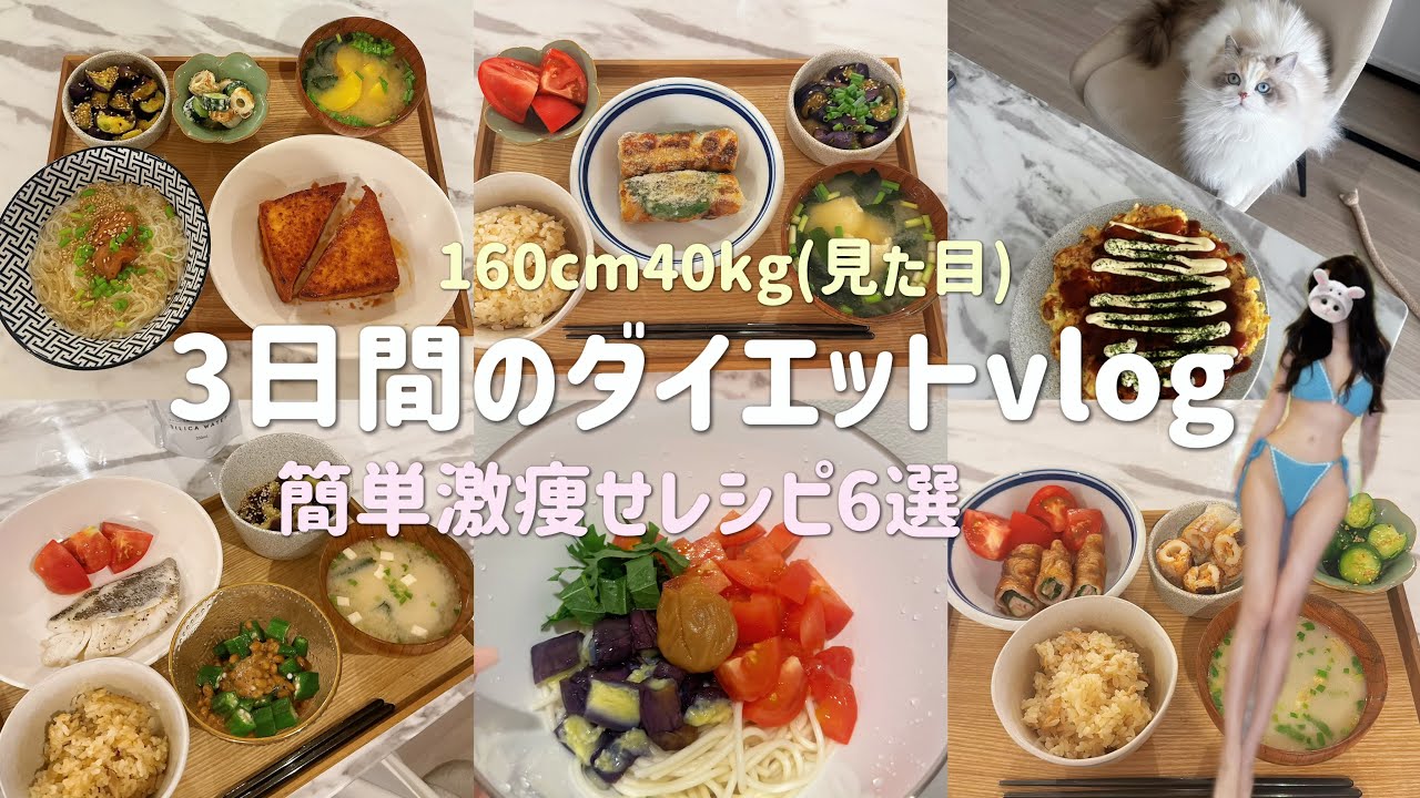 【diet vlog】スタイル褒められる私の🕵️夏の簡単ダイエットレシピ6選🍳🤍