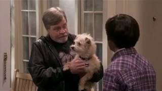 The Big Bang Theory 11x24 Finale - "That's Mark Hamill" - Mark Hamill Cameo on TBBT