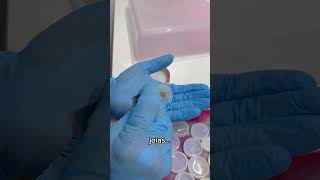 Produção de colar com planta: exemplo do dente de leão