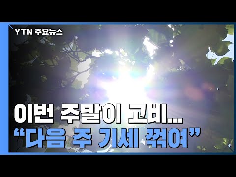 [날씨] 주말이 열대야·무더위 고비...내주 기세 꺾인다 / YTN