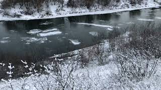 Зимняя сказка! Река Дон покрывается льдом.