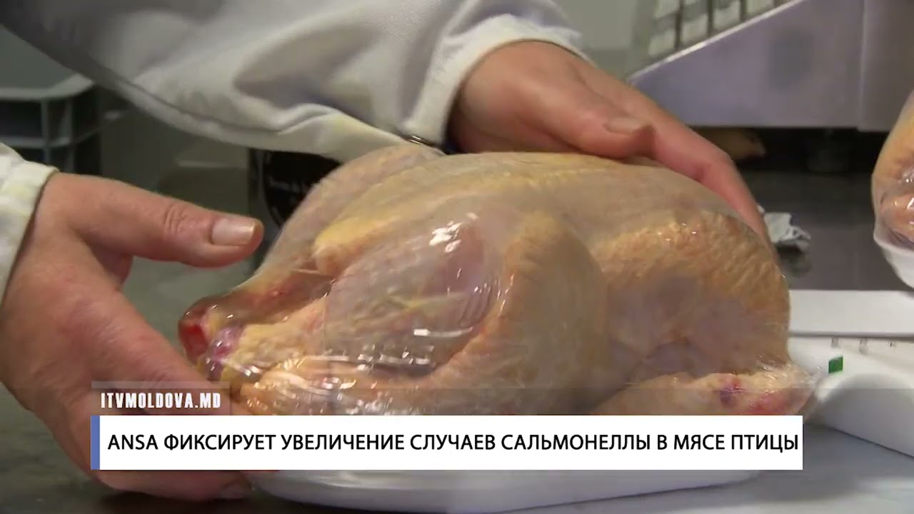 ANSA ФИКСИРУЕТ УВЕЛИЧЕНИЕ СЛУЧАЕВ САЛЬМОНЕЛЛЫ В МЯСЕ ПТИЦЫ